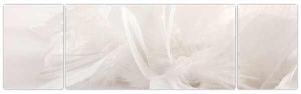 Obraz - Peří (170x50 cm)