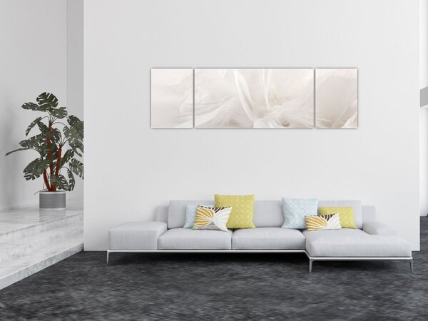 Obraz - Peří (170x50 cm)