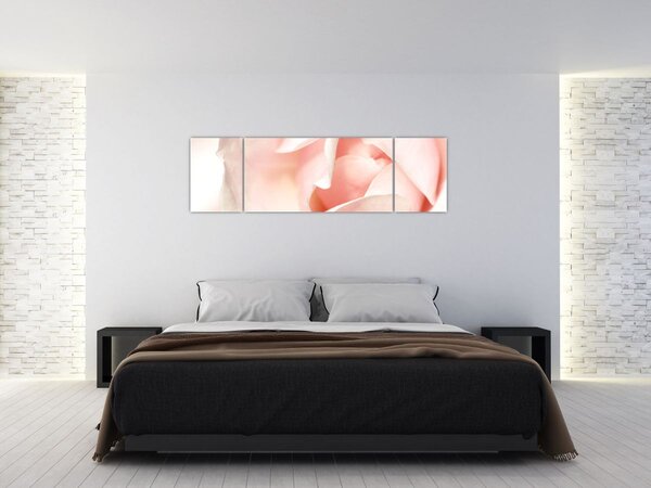 Obraz - Růže (170x50 cm)