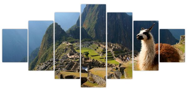 Obraz - Lama a Machu Picchu (210x100 cm)