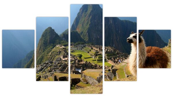 Obraz - Lama a Machu Picchu (125x70 cm)