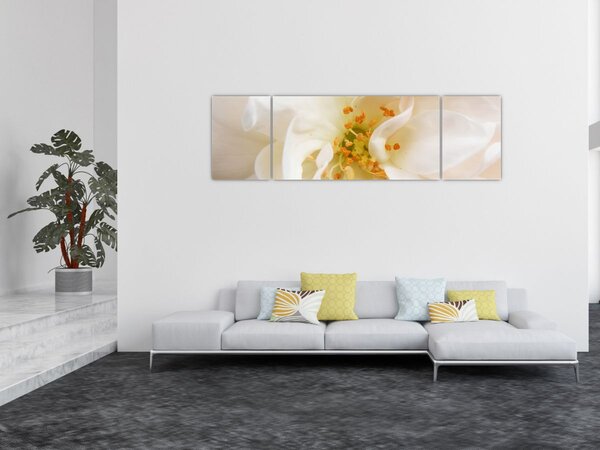Obraz - Květ (170x50 cm)