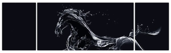 Obraz - Kůň a voda (170x50 cm)