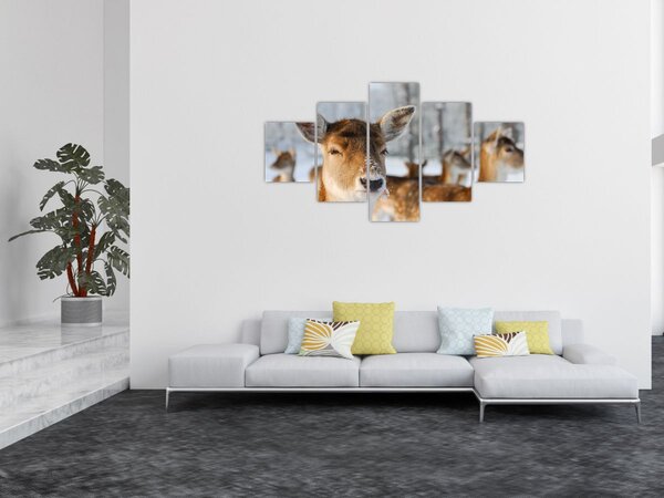 Obraz - Koloušci (125x70 cm)