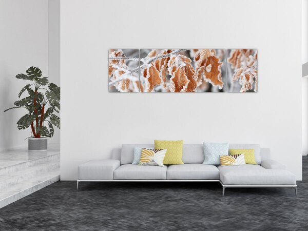 Obraz - Zmrzlé listy (170x50 cm)