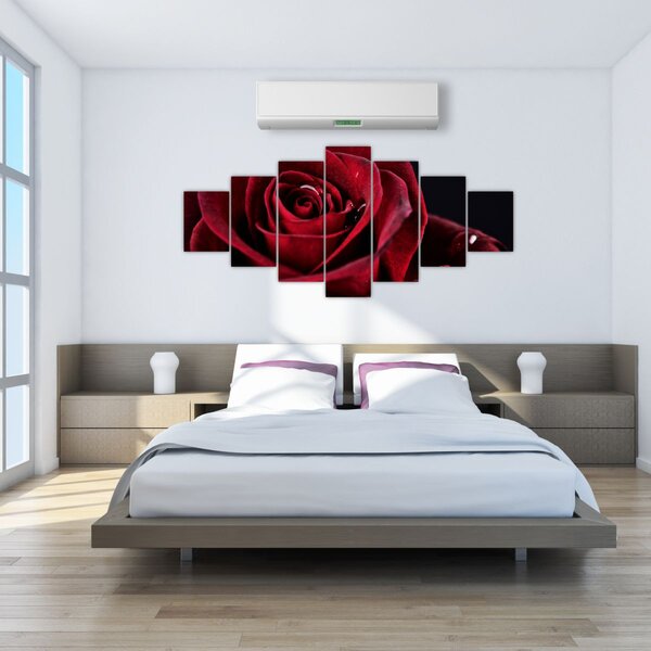 Obraz - Rudá růže (210x100 cm)
