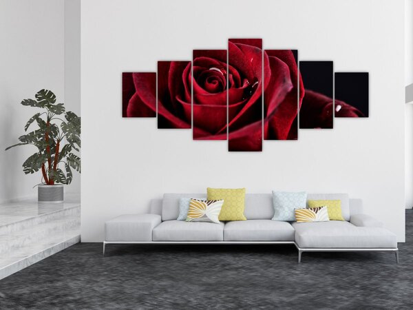 Obraz - Rudá růže (210x100 cm)