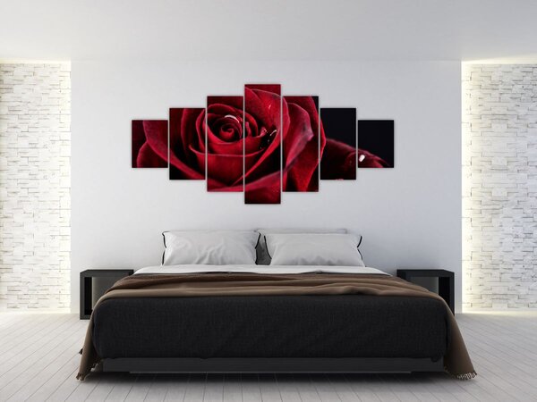 Obraz - Rudá růže (210x100 cm)