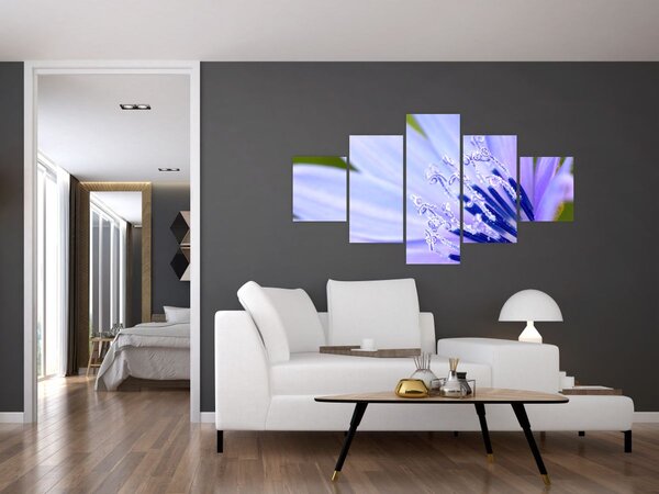 Obraz - květ (125x70 cm)