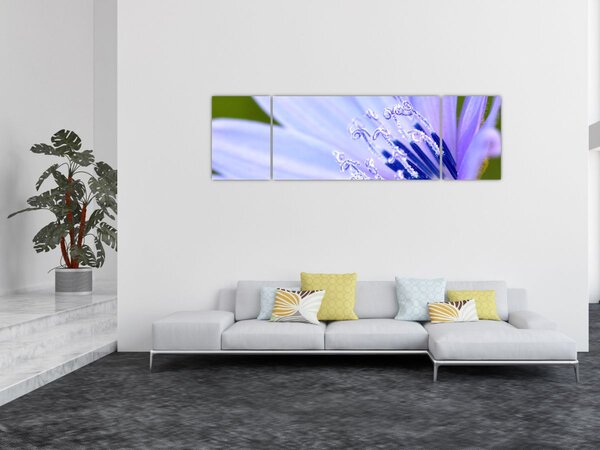 Obraz - květ (170x50 cm)