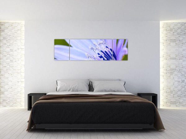 Obraz - květ (170x50 cm)