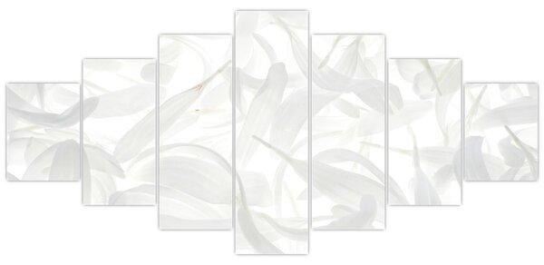 Obraz - Okvětní lístky (210x100 cm)