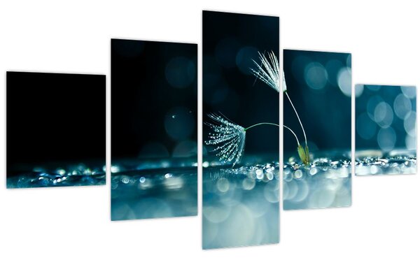Obraz - Makro (125x70 cm)