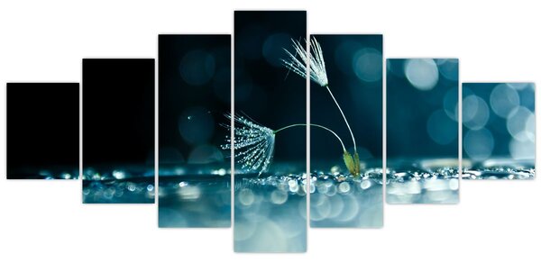 Obraz - Makro (210x100 cm)