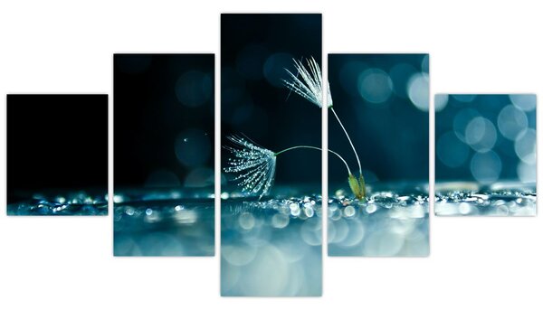 Obraz - Makro (125x70 cm)