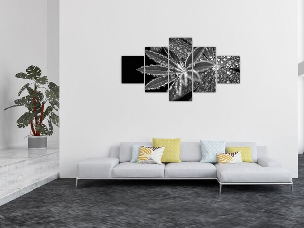 Obraz - Kapky (125x70 cm)