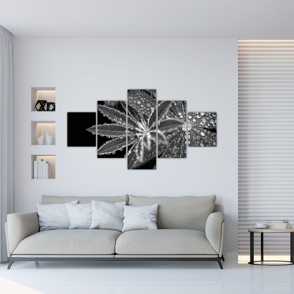 Obraz - Kapky (125x70 cm)