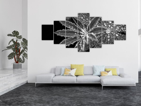Obraz - Kapky (210x100 cm)
