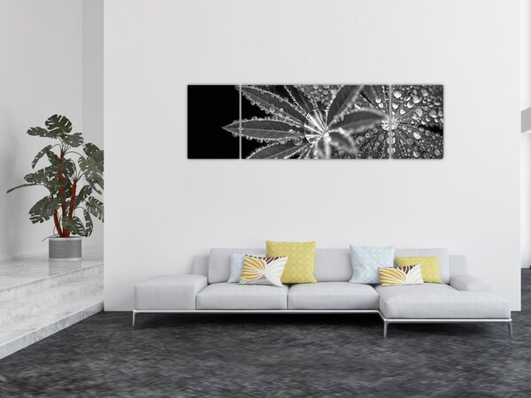 Obraz - Kapky (170x50 cm)