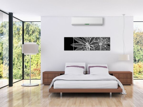 Obraz - Kapky (170x50 cm)