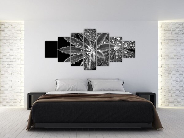 Obraz - Kapky (210x100 cm)