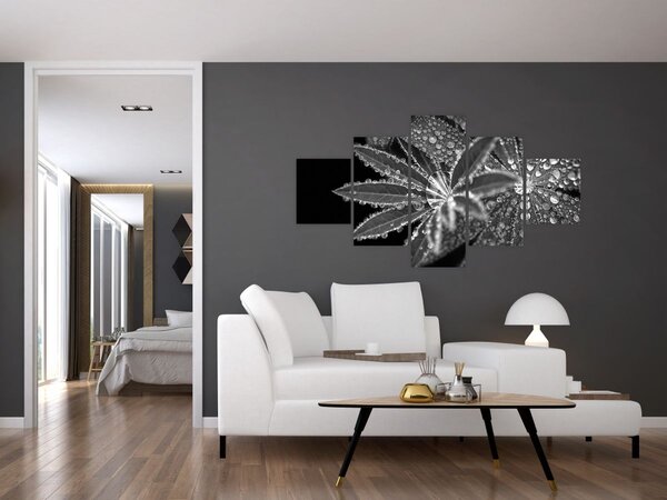 Obraz - Kapky (125x70 cm)