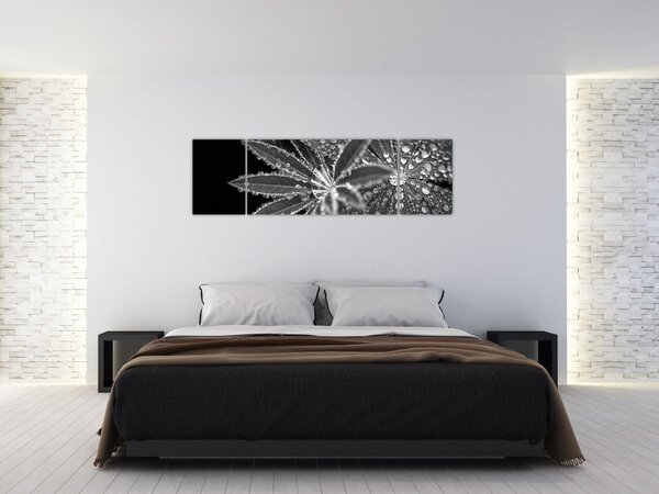 Obraz - Kapky (170x50 cm)