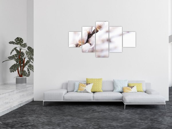 Obraz - Větev kočičky (125x70 cm)