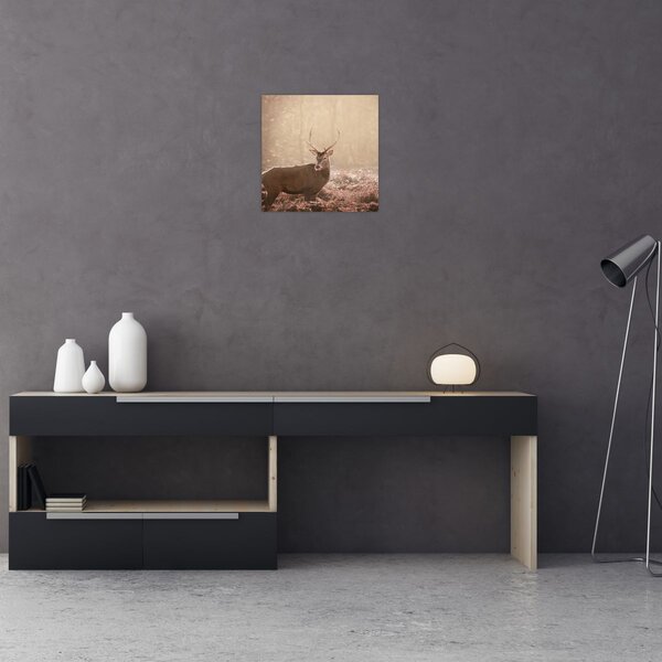 Obraz - Jelen v lese (30x30 cm)