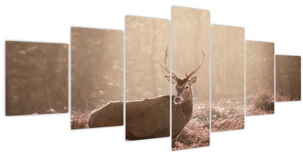 Obraz - Jelen v lese (210x100 cm)