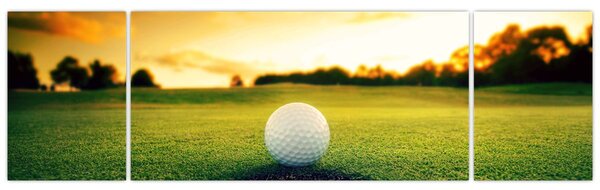 Obraz - Golf (170x50 cm)