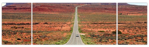 Obraz - U.S. Route 163 (170x50 cm)