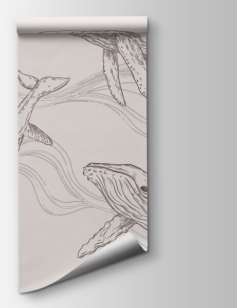 Fototapeta Skupina velryb plovoucích ve vodě, Designové fototapety na zeď, Populární fototapety, u99733 - Tapeko.co.cz