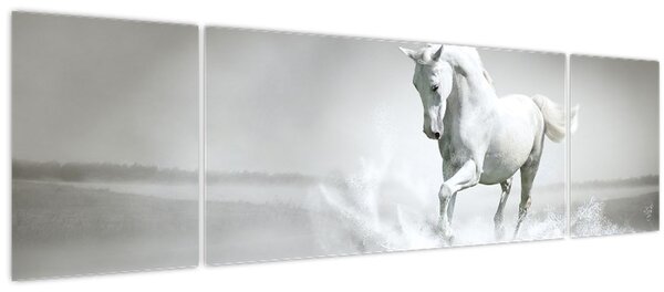 Obraz - Bílý kůň (170x50 cm)