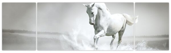 Obraz - Bílý kůň (170x50 cm)