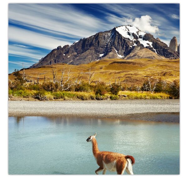 Obraz - Národní park Torres del Paine (30x30 cm)