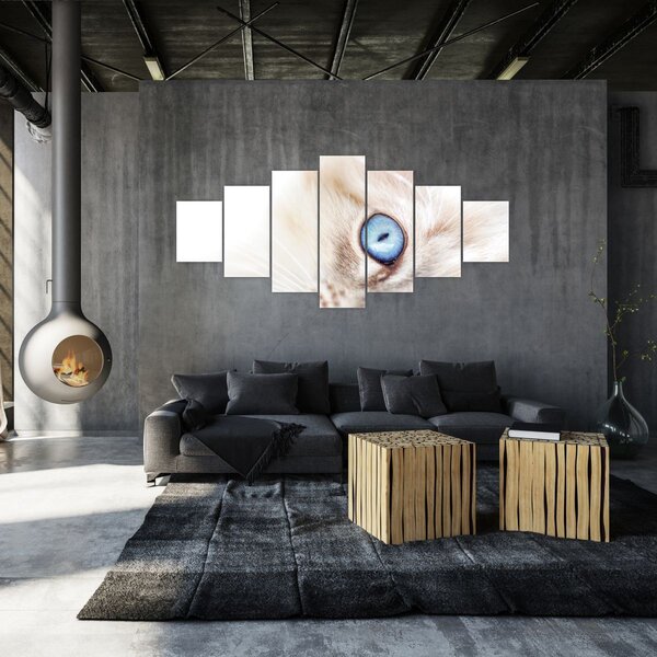 Obraz - Koťátko (210x100 cm)