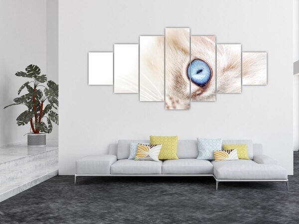 Obraz - Koťátko (210x100 cm)