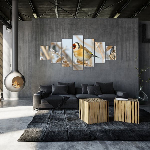 Obraz - Stehlík (210x100 cm)