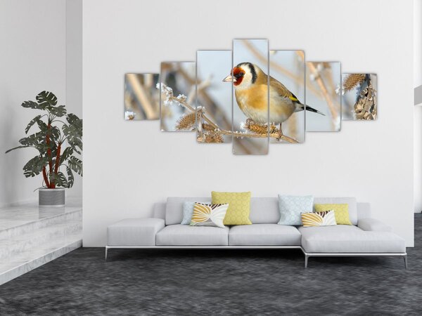Obraz - Stehlík (210x100 cm)