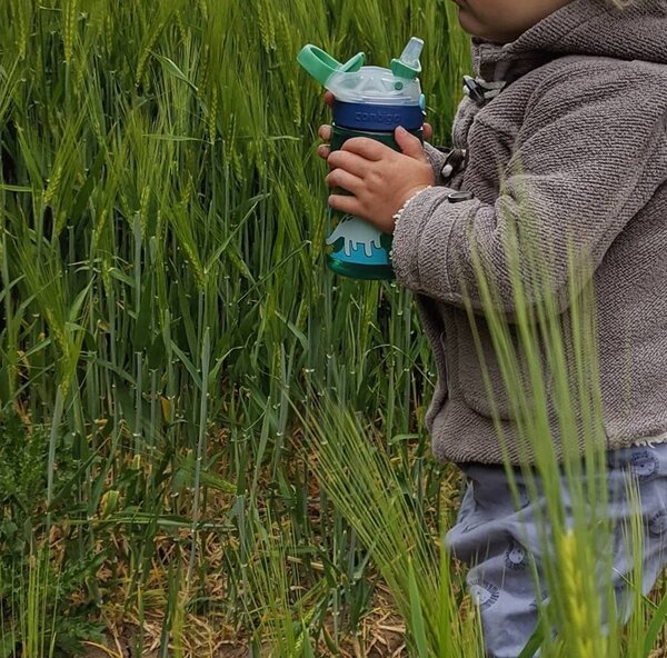 Contigo Dětská láhev Gizmo Flip 420 ml, Jungle Dino