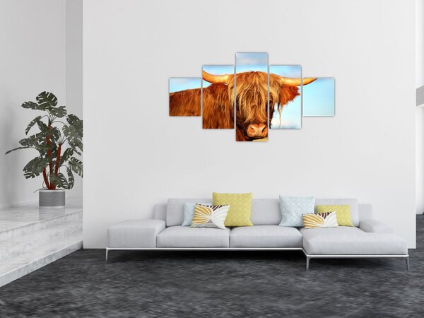 Obraz - Skotská kráva (125x70 cm)