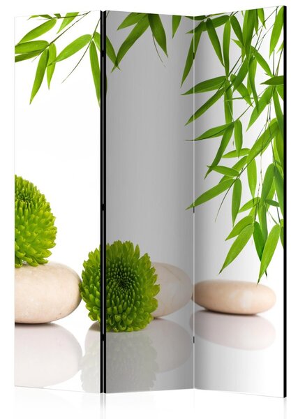 Paraván - Green Relax [Room Dividers