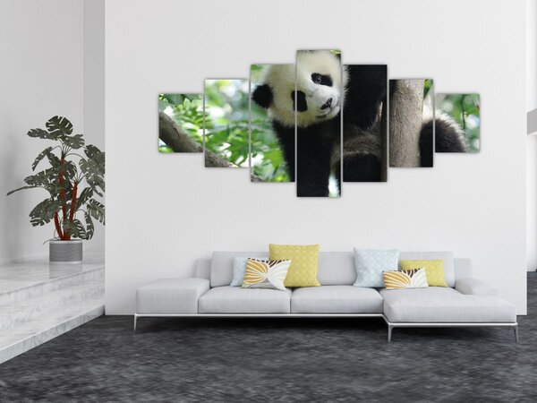 Obraz - Panda na stromě (210x100 cm)