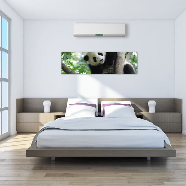 Obraz - Panda na stromě (170x50 cm)