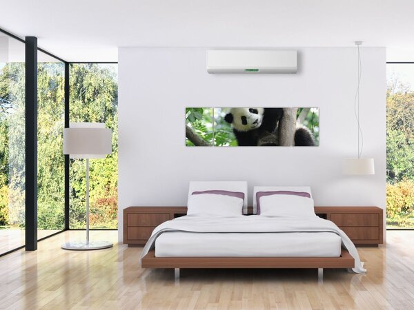 Obraz - Panda na stromě (170x50 cm)