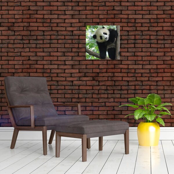 Obraz - Panda na stromě (30x30 cm)