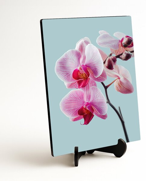 DUBLEZ | Dřevěný obraz - Květiny orchidejí | UV tisk, Premium