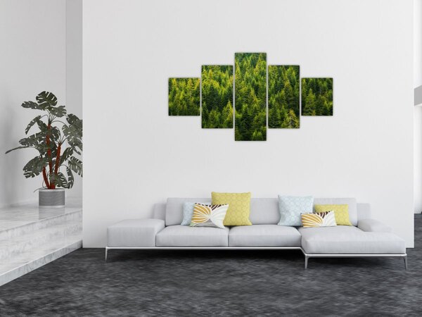 Obraz - Hustý les (125x70 cm)