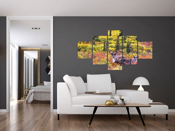 Obraz - Karibu na Aljašce (125x70 cm)